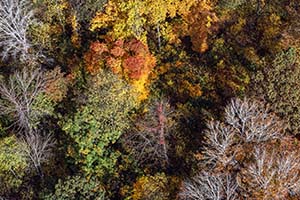 jay maisel crazy camera ultra wide photo