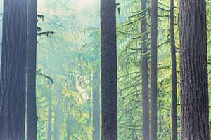 jay maisel crazy camera ultra wide photo