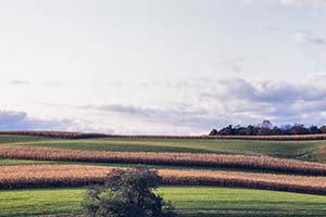 jay maisel crazy camera ultra wide photo