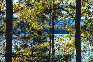 jay maisel crazy camera ultra wide photo