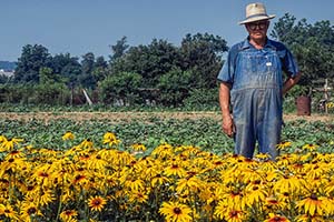 jay maisel crazy camera ultra wide photo